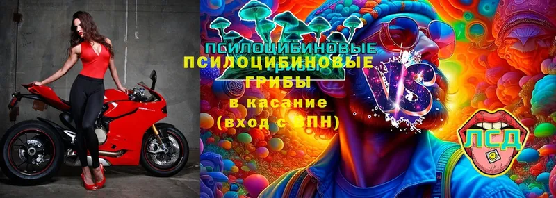 Галлюциногенные грибы Magic Shrooms  Мариинский Посад 